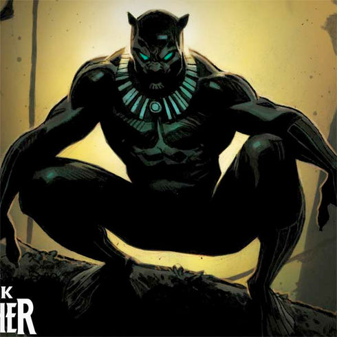 Marvel Black Panther TChalla King of Wakanda MacBook Skins